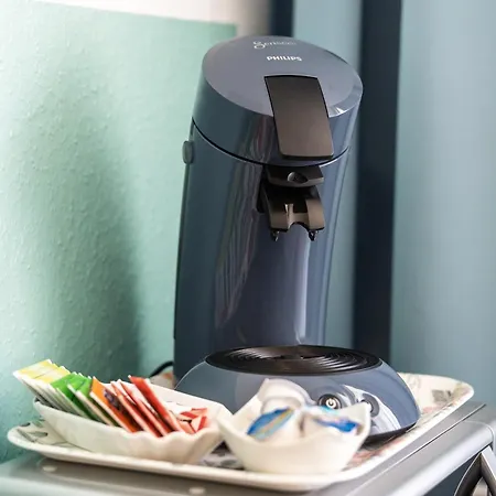 New Gaestehaus Flora,kitchen,tv,free Parking,near Europa Park And Strasbourg 호텔 3*