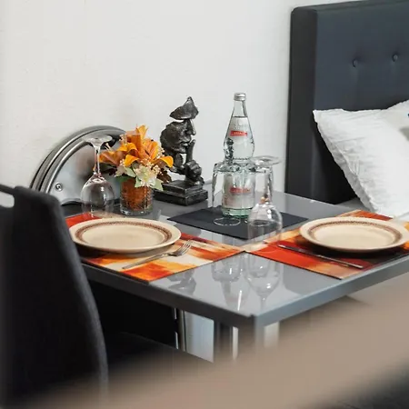 호텔 New Gaestehaus Flora,kitchen,tv,free Parking,near Europa Park And Strasbourg Hohberg