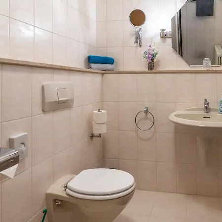 New Gaestehaus Flora,kitchen,tv,free Parking,near Europa Park And Strasbourg Hohberg