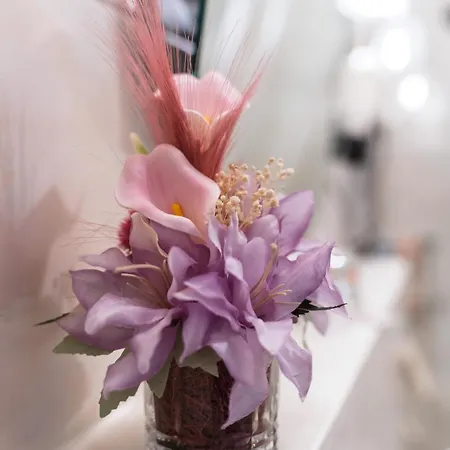 New Gaestehaus Flora,kitchen,tv,free Parking,near Europa Park And Strasbourg 호텔