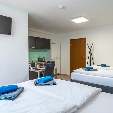 New Gaestehaus Flora,kitchen,tv,free Parking,near Europa Park And Strasbourg 3* Hohberg