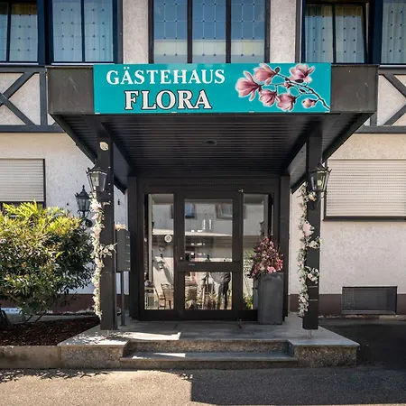New Gaestehaus Flora,kitchen,tv,free Parking,near Europa Park And Strasbourg Hotel Hohberg