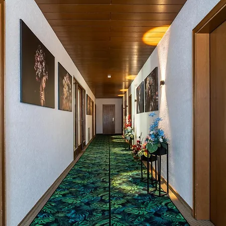 New Gaestehaus Flora,kitchen,tv,free Parking,near Europa Park And Strasbourg 3* Hohberg